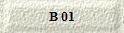 B 01